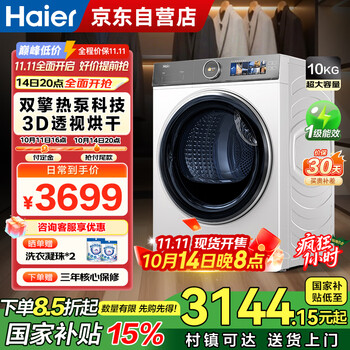 海爾（Haier）家用烘干機熱泵10公斤干衣機烘衣服小型變頻除螨菌 TFT彩屏HGY100-F386WU1家電國家補貼