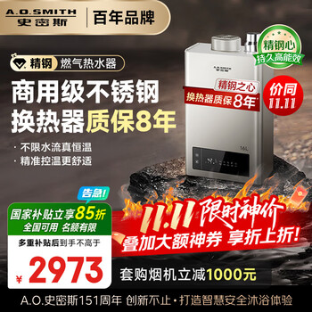史密斯（A.O.SMITH） 16升精鋼燃?xì)鉄崴?國(guó)家補(bǔ)貼 不銹鋼換熱器包8年 負(fù)壓燃燒更安全 精控恒溫 家用天然氣JSQ31-TM5
